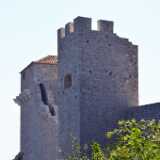 DSN_7457