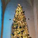 IMG_20191227_155540
