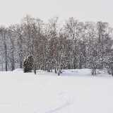 19_01_RuissaloWinter