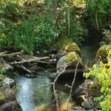 19_06_NautelaKoskipirtti