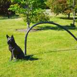 19_06_Tallinna_Botaanika