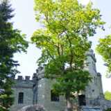 19_06_Tallinna_vonGlehni