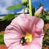 IMG_20200823_145443