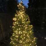 IMG_20201129_160703