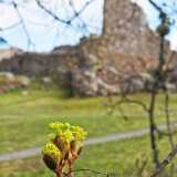 IMG_20200503_115745