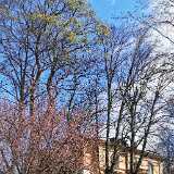 IMG_20200503_124338