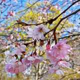 IMG_20200503_124545