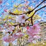 IMG_20200503_124548