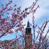 IMG_20200503_124934