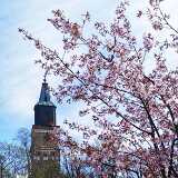 IMG_20200503_124949