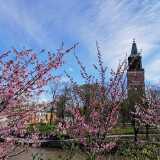 IMG_20200503_125056