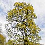 IMG_20200517_132958