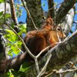 IMG_20200530_114242