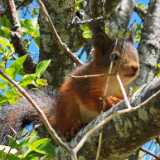 IMG_20200530_114324