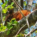 IMG_20200530_114335