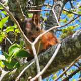 IMG_20200530_114346