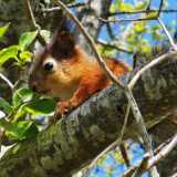 IMG_20200530_114351