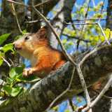 IMG_20200530_114356