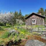 IMG_20200601_130350