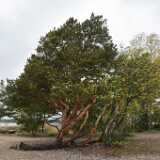 DSN_8789