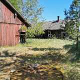 IMG_20200531_151255