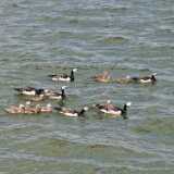 IMG_20200620_140311_1