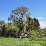 IMG_20200607_142632