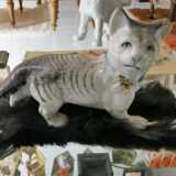 IMG_20200611_114639