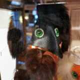 IMG_20200611_115549