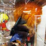 IMG_20200611_115618