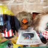IMG_20200611_115644