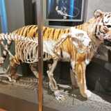 IMG_20200719_111732