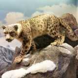 IMG_20200719_113936