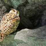 IMG_20200719_120131