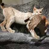 IMG_20200719_120249