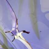 IMG_20200719_121735