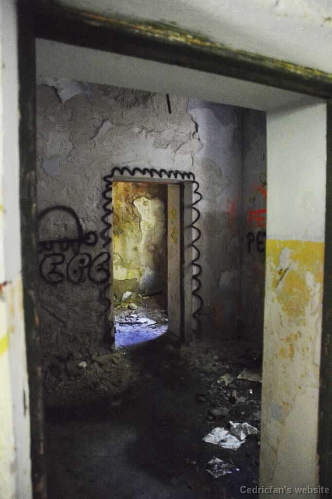 DSN_9308