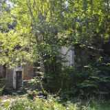 DSN_9318