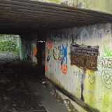DSN_9344