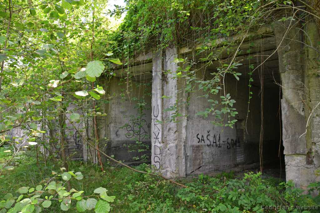 DSN_9413