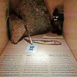 IMG_20200906_111416