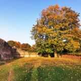 IMG_20200927_174751