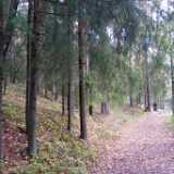 P1290576