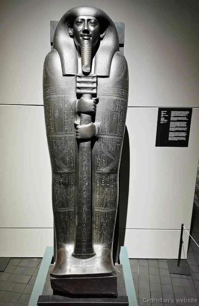IMG_20201101_124950