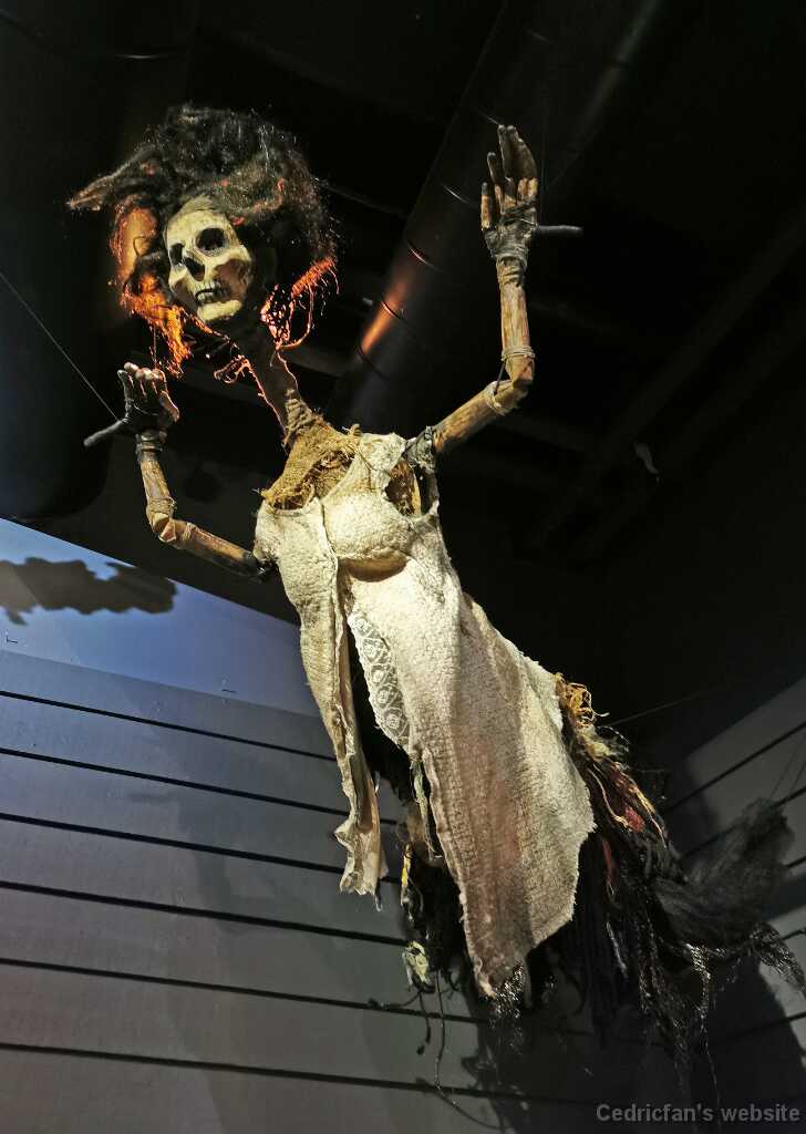 IMG_20201031_163843