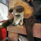 IMG_20201031_164451
