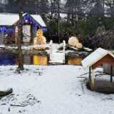 IMG_20201225_150853