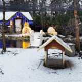 IMG_20201225_150902