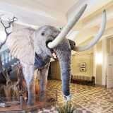 20_07_HkiLuonnontieteellinen