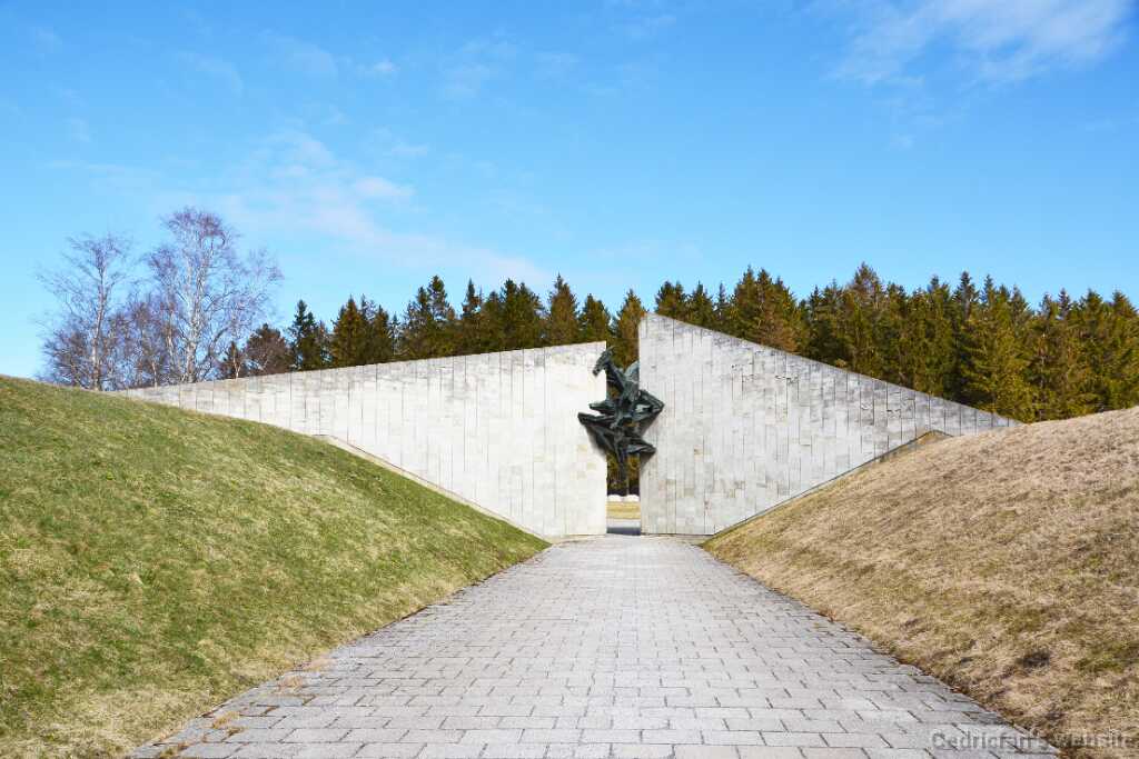 DSN_0773